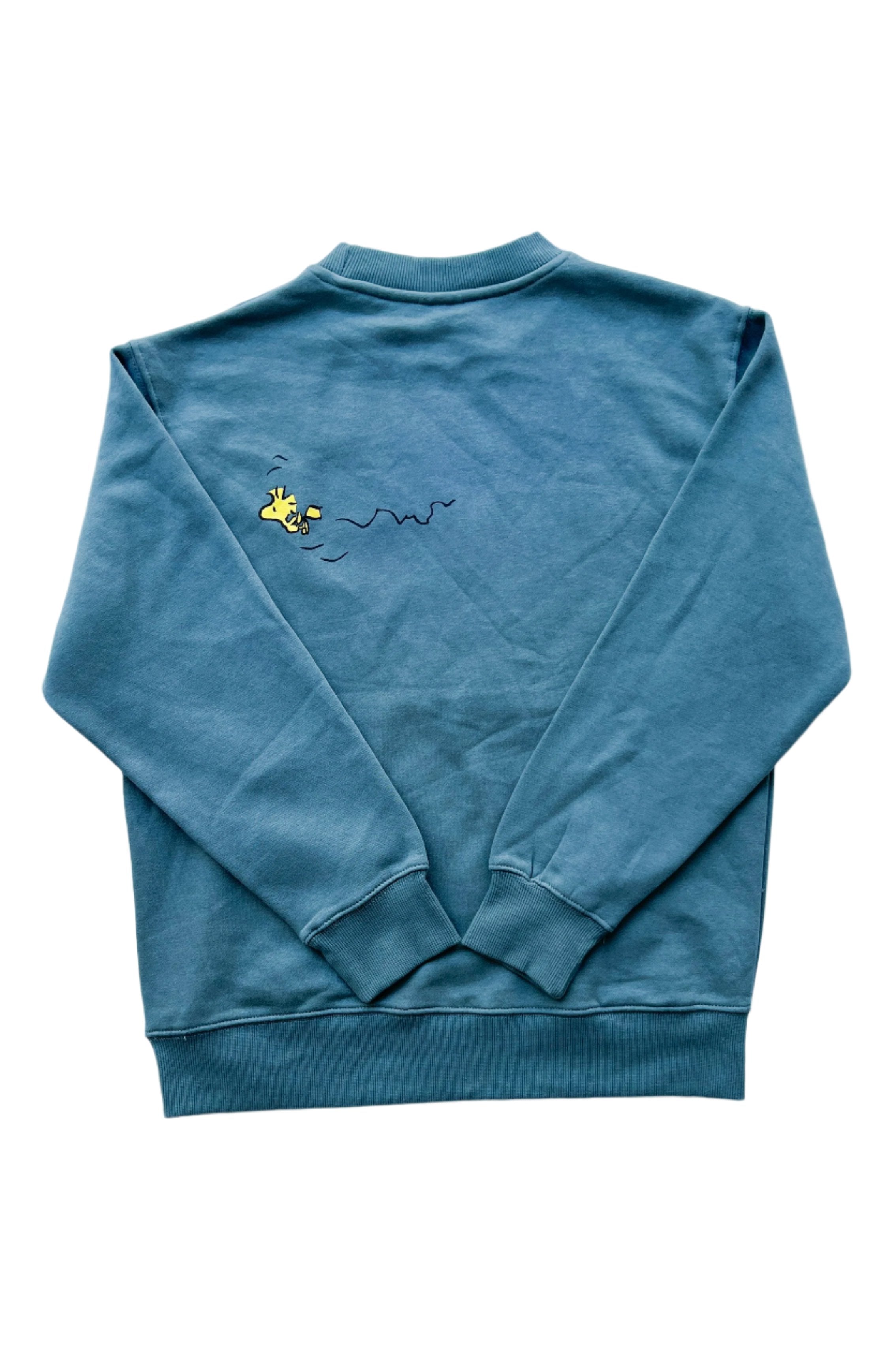Kids Unisex Graphic Sweatshirt - Zara